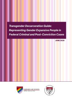 Pages from Transgender Decarceration Guide 28 June 2026.pdf