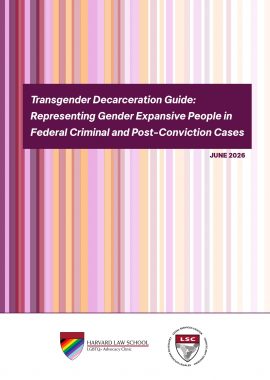 Pages from Transgender Decarceration Guide 28 June 2026.pdf